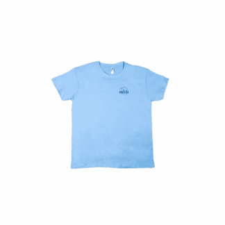 AREA 51 T SHIRT L light blue